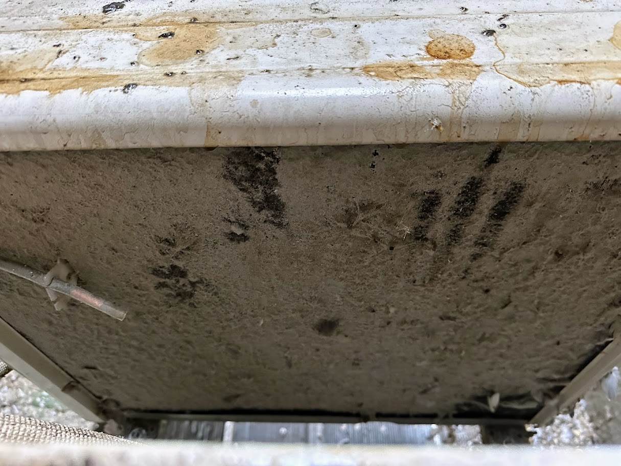 Baktériumok a klímában